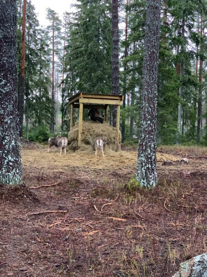 Cozy House In Kosta Center Surrounding With Swedish Nature 外观 照片